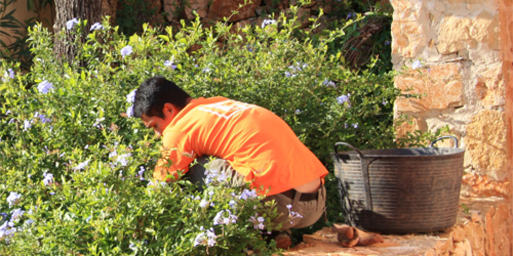 The Vital Role of a Gardener in Spring: Denia's Blooming Necessity