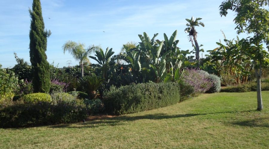Harnessing the Summer Glow: Why Denia Residents Need a Gardener